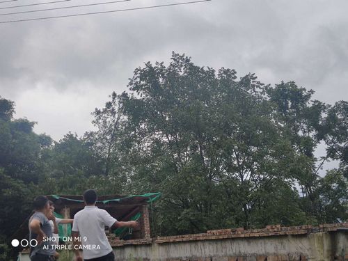 f7f76292abe2b938d908b068ab6d0e6.jpg f7f76292abe2b938d908b068ab6d0e6.jpg