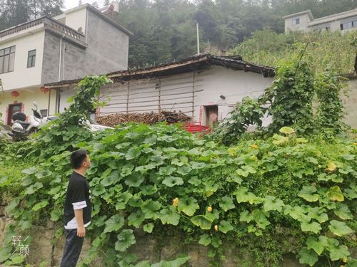 7A88FA83F21EC7C75916B17F032079CF.jpg 7A88FA83F21EC7C75916B17F032079CF.jpg