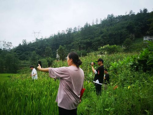 8BA078BA314434270131EF3FB0BCA23D.jpg 8BA078BA314434270131EF3FB0BCA23D.jpg