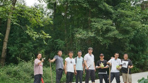 DSC02320.jpg DSC02320.jpg