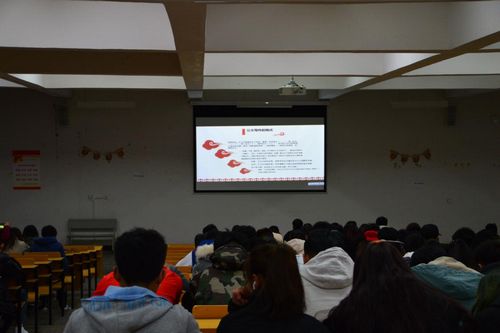 图片4.jpg 图片4.jpg