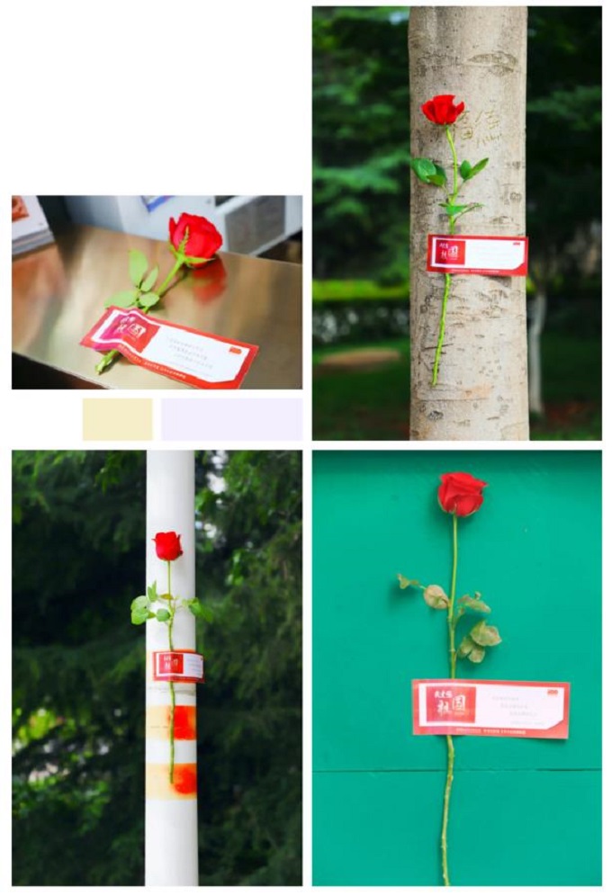 520 · 你看到校园贴满的玫瑰吗？那是我的专属表白 第 6 张