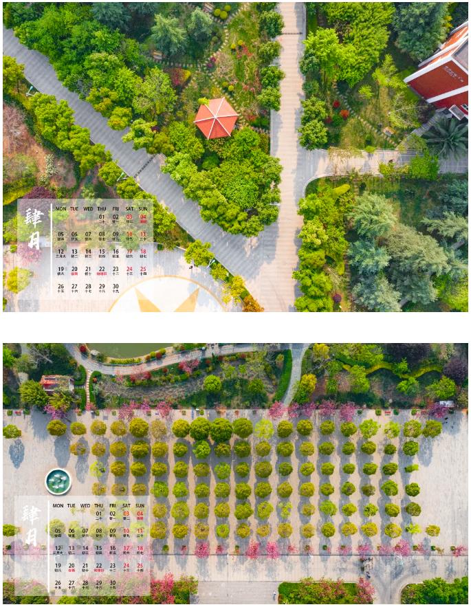 微信截图_20210402093022.jpg