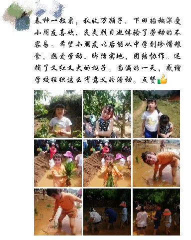 图片12.jpg