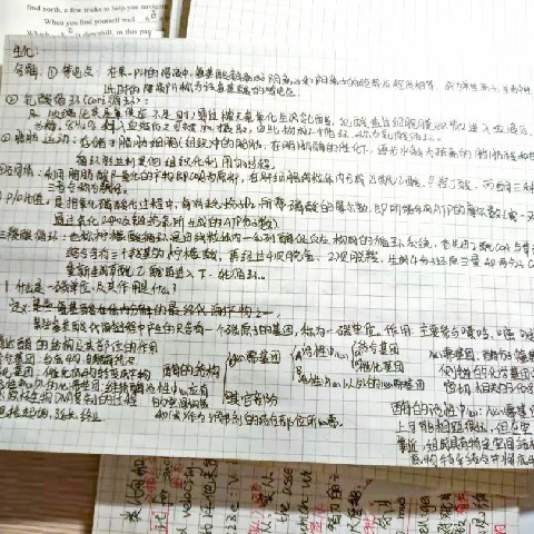 微信图片_20220614154746.jpg
