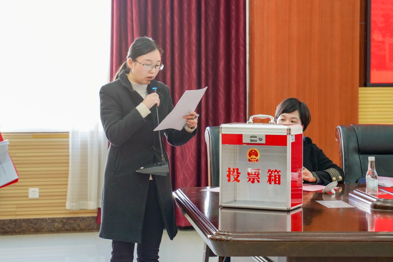 民进云南经济管理学院支部换届会议圆满举行 第 5 张