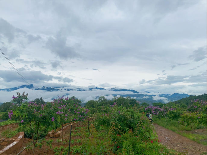 0ac1170aa4e0b53fa650aa9757e8d30d.png 0ac1170aa4e0b53fa650aa9757e8d30d.png