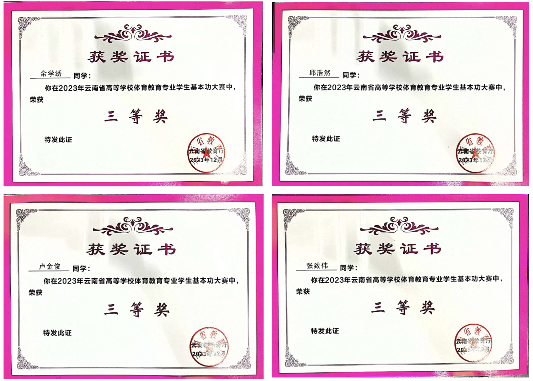 喜报！云南经济管理学院体育教育学子连续两年在省级学生基本功大赛中斩获佳绩 第 3 张
