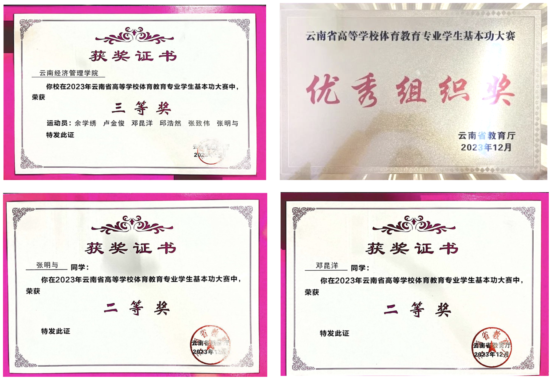 喜报！云南经济管理学院体育教育学子连续两年在省级学生基本功大赛中斩获佳绩 第 2 张