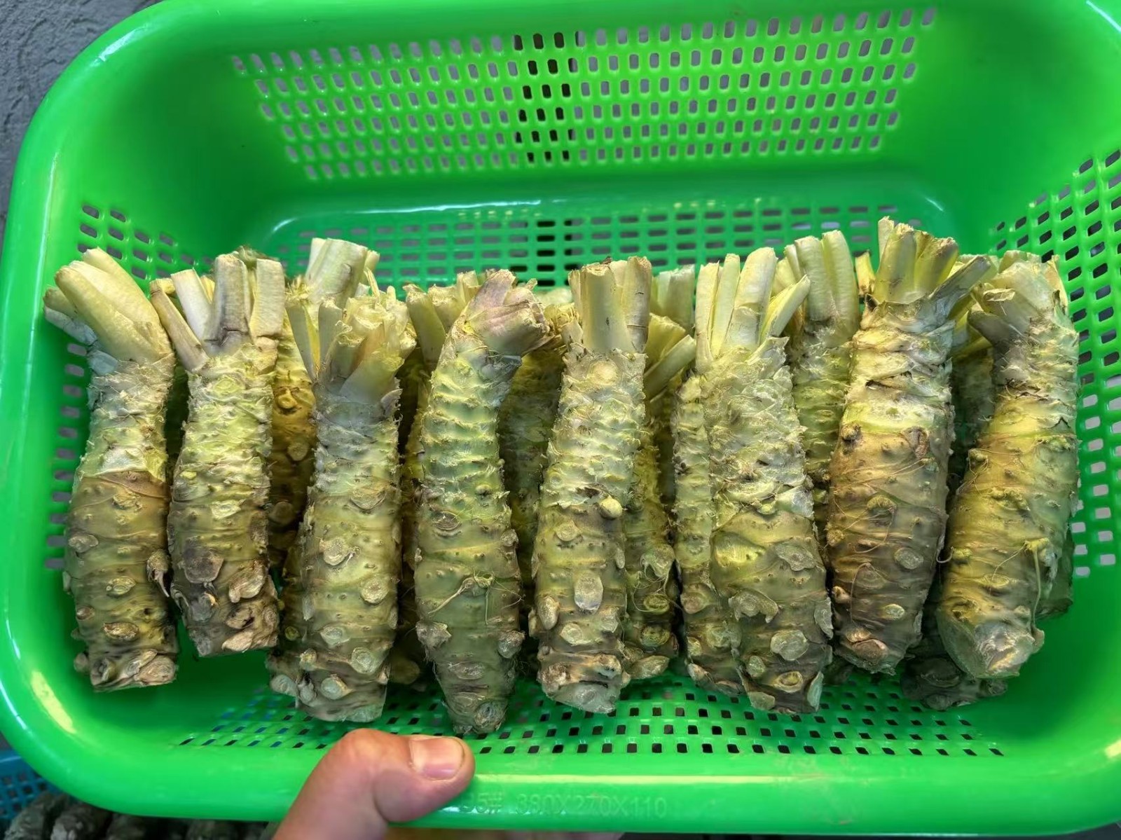 太上头了🤤，这个蘸料经管人研发的！ 第 24 张