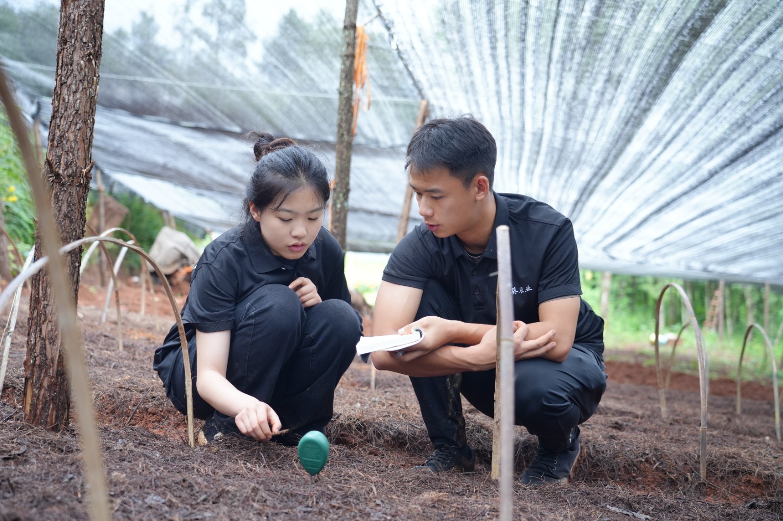 太上头了🤤，这个蘸料经管人研发的！ 第 11 张