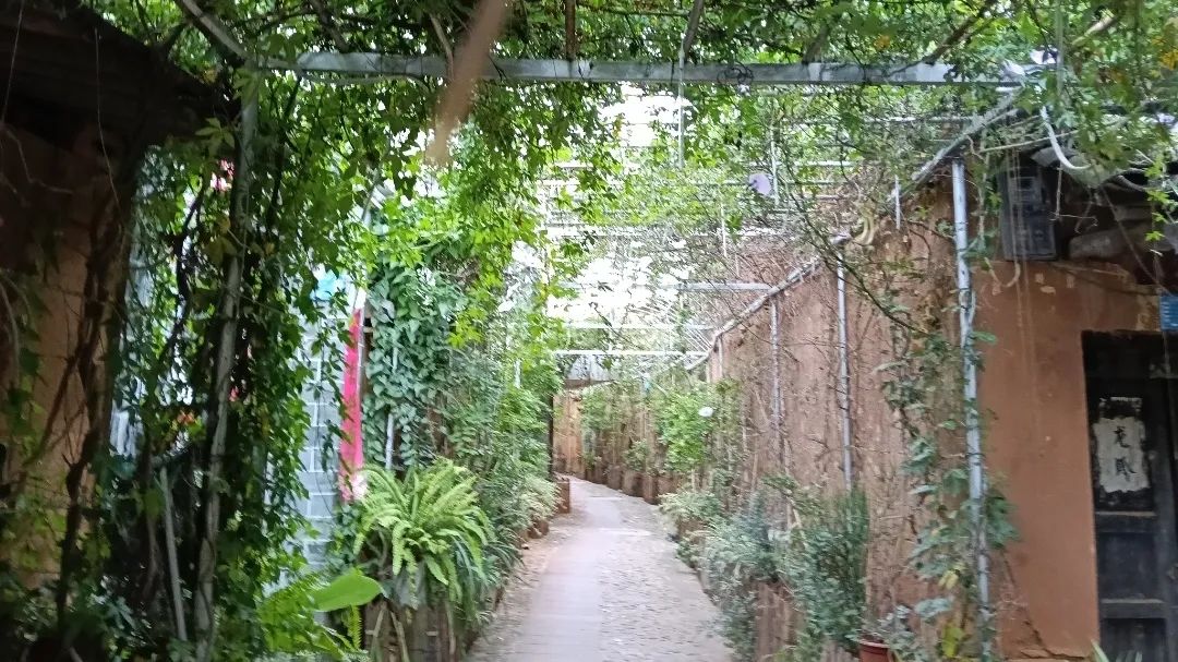 暑期社会实践|高原上的牧民:寻找被遗忘的“喀卓”密码 第 5 张 暑期社会实践|高原上的牧民:寻找被遗忘的“喀卓”密码 第 5 张