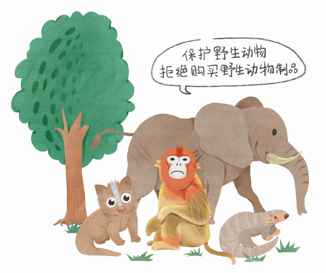 【爱国卫生月】 2026年第38个“爱国卫生月”健康宣传 第 23 张